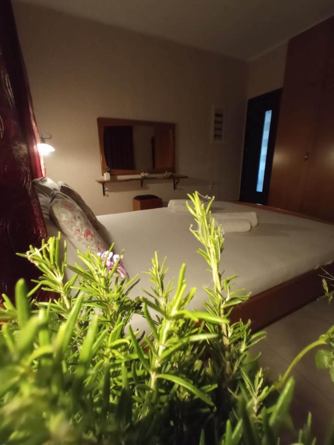 Villa Erasmia Dekarcho Buitenkant foto