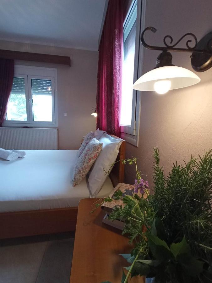 Villa Erasmia Dekarcho Buitenkant foto